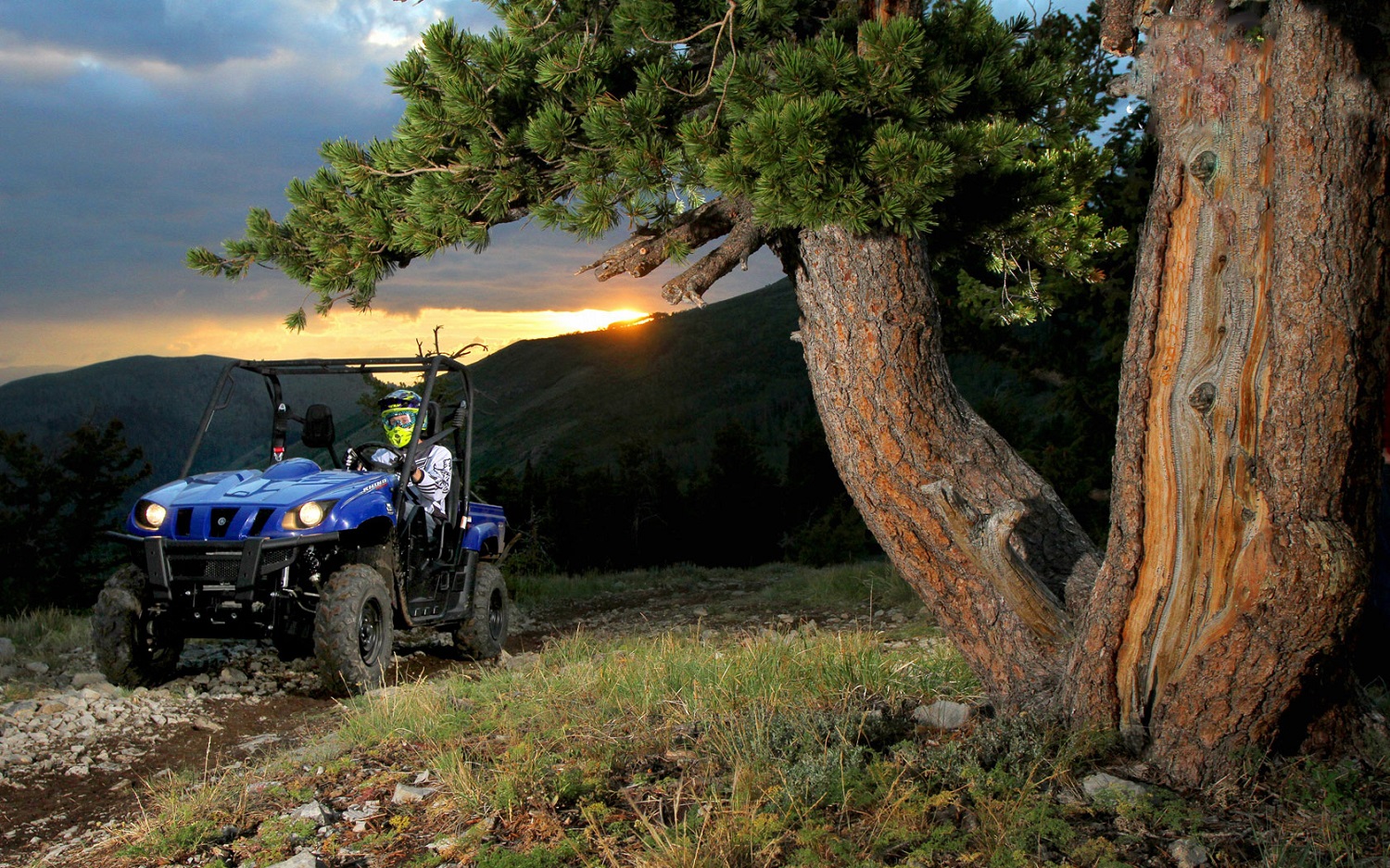 Side-by-side utility vehicle ready for nationwide shipping